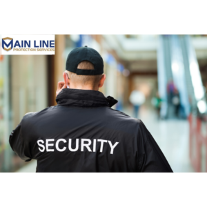 Comprehensive security services image