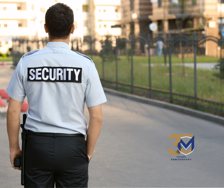 Comprehensive Security Service: Safeguarding Your World